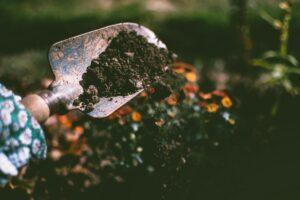 Is the soil of your heart fertile?