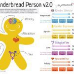 gender theory