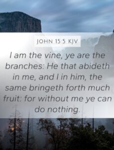 Jesus is the vine
